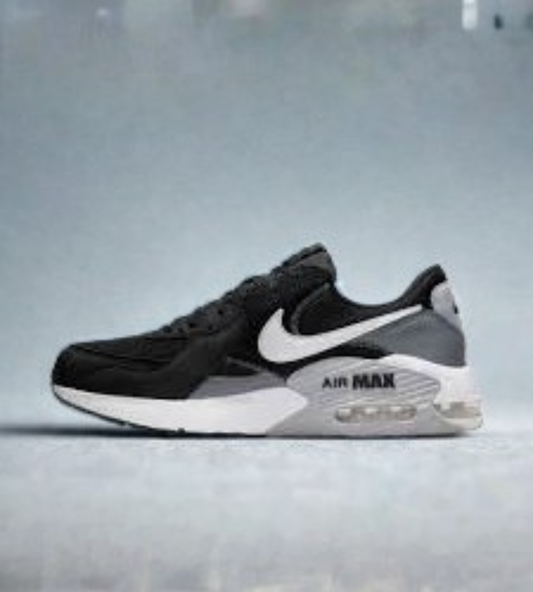 Nike Air Max Shoes
